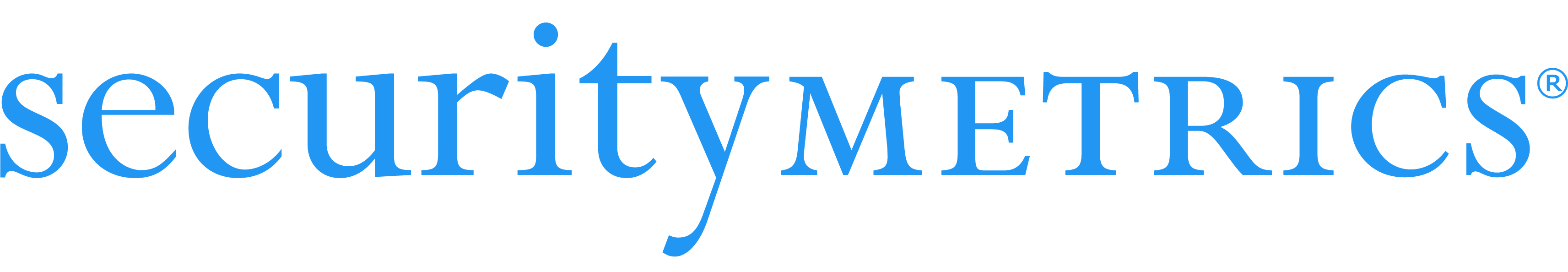SecurityMetricsLogo.png